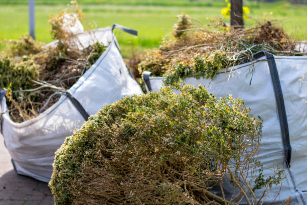 Best Professional Junk Removal  in Cochran, GA